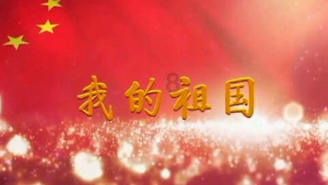 植物大战僵尸6